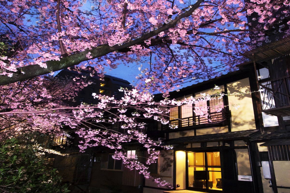 鈴 四条高瀬川の画像